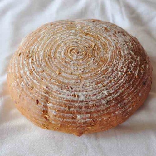 Harvest Grain Bread